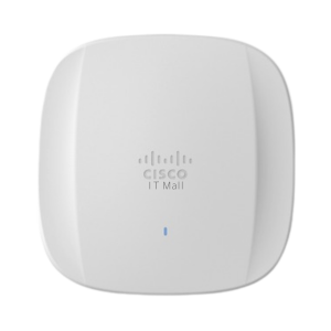 Catalyst Access Points