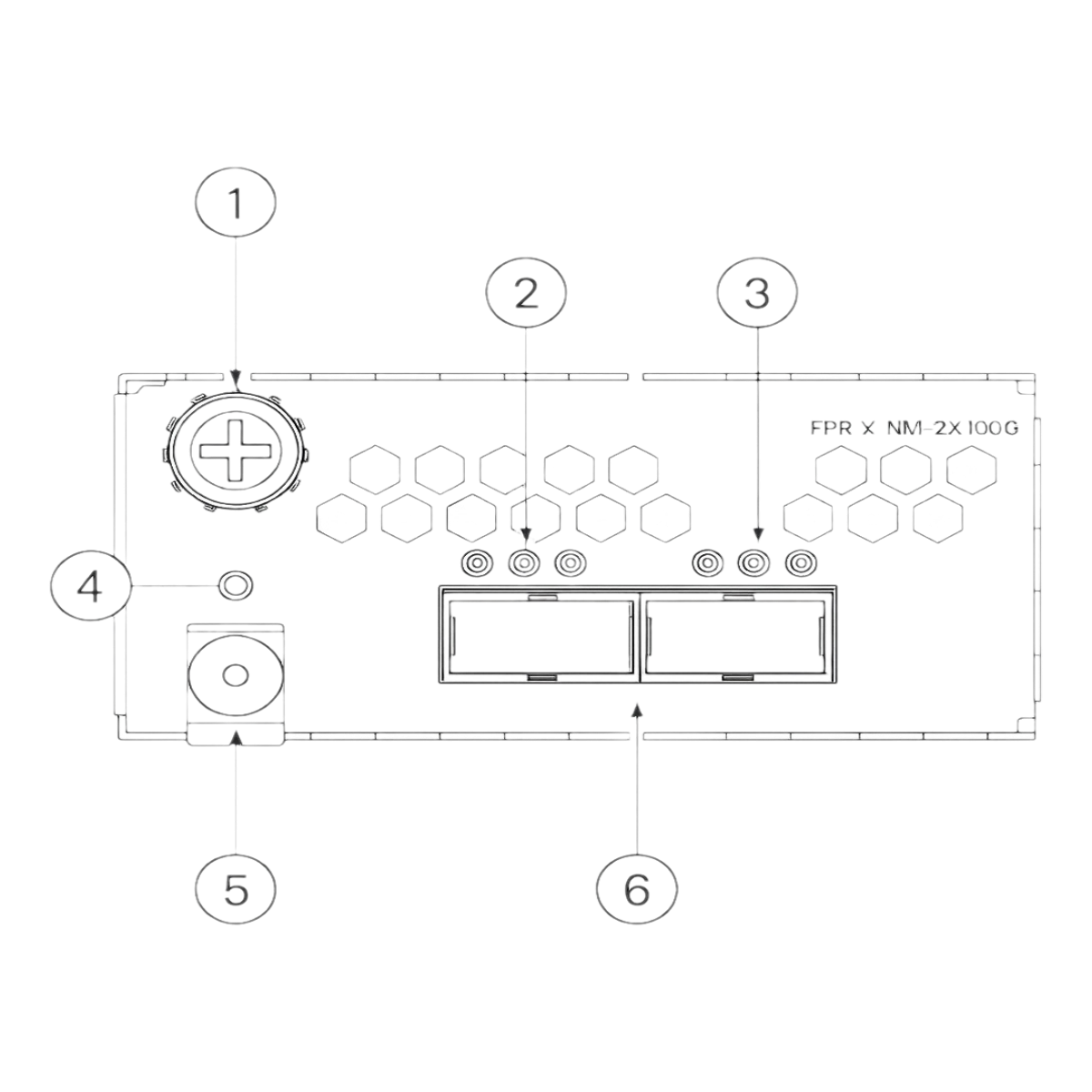 FPR4K-XNM-2X100G